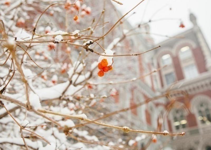 НБУ вже четвертий раз підряд зменшив обсяги продажу доларів.