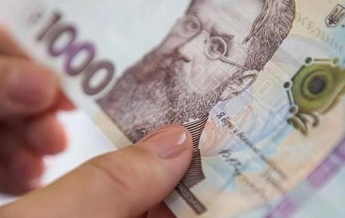 Розпочалася програма зимової підтримки: як оформити заявку та отримати фінансову допомогу. ВІДЕО