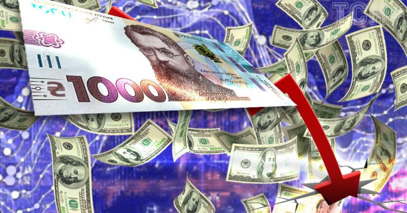 Курс валют на 24 листопада: які ціни на долар, євро та злотий?