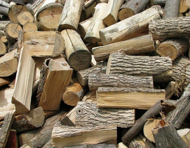 Дерев'яна субсидія у 2026 році: хто має право на отримання фінансової підтримки та які суми будуть виплачені.